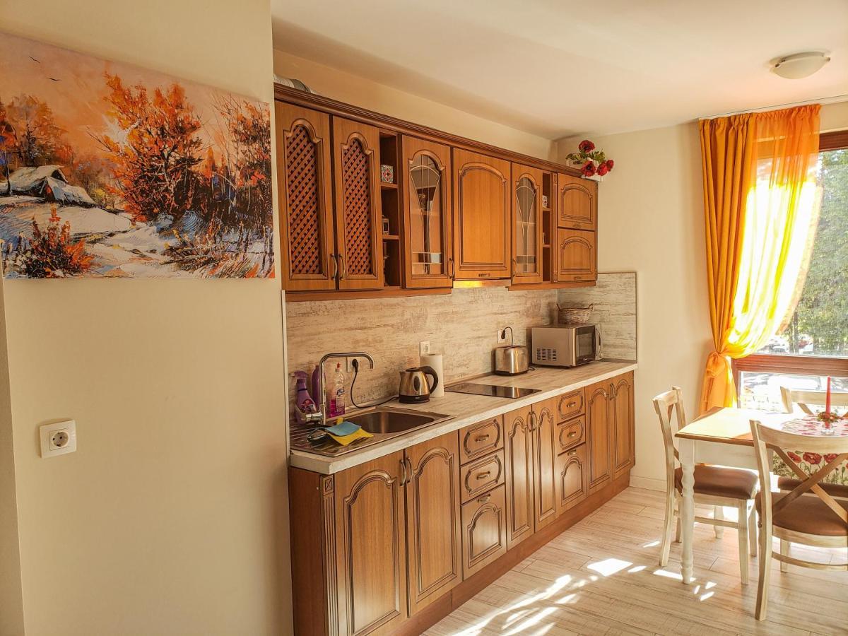 Lovely Borovets Apartment エクステリア 写真