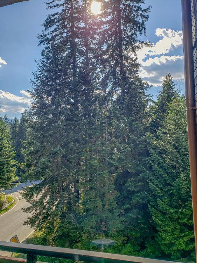 Lovely Borovets Apartment エクステリア 写真