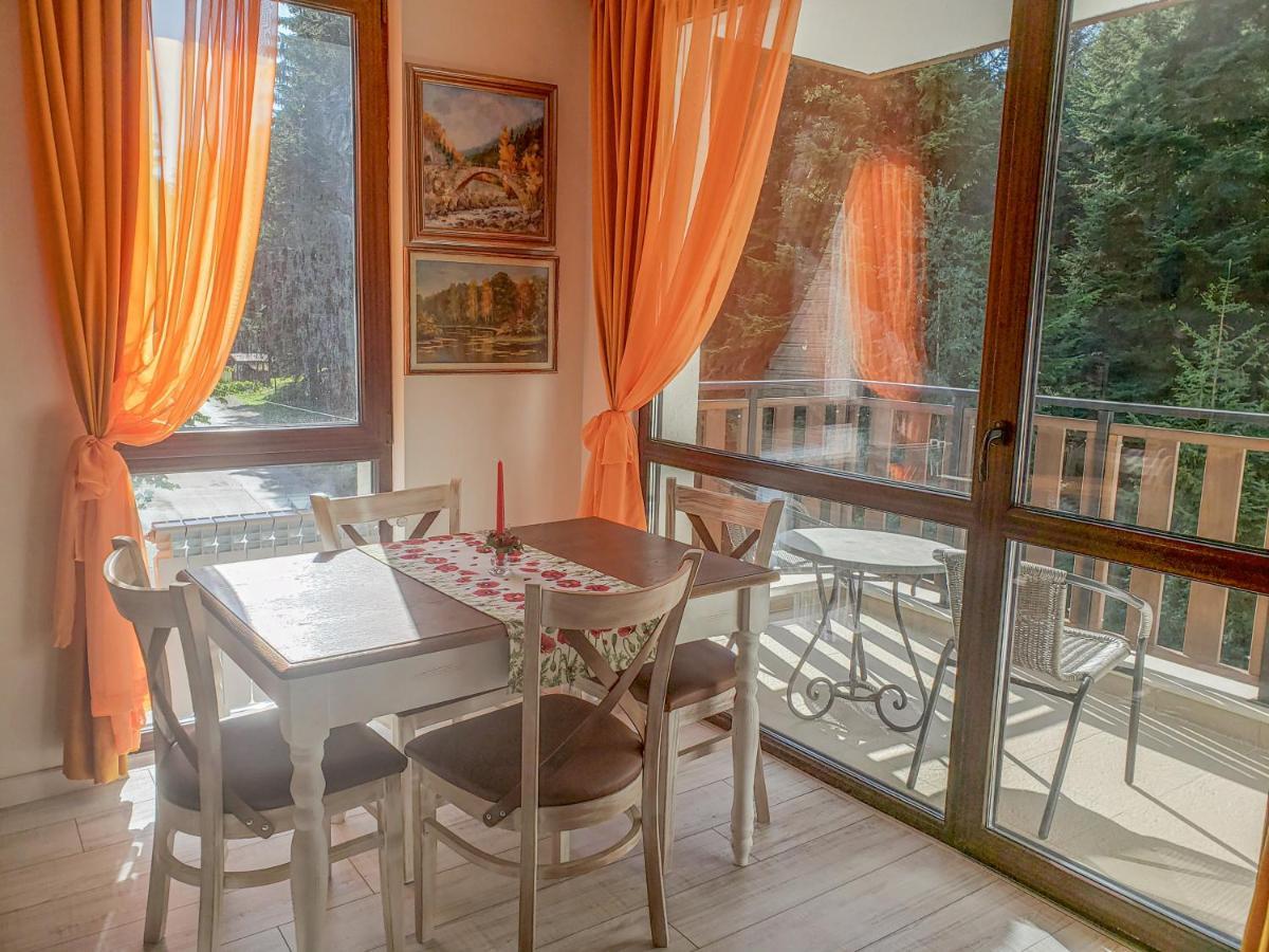 Lovely Borovets Apartment エクステリア 写真