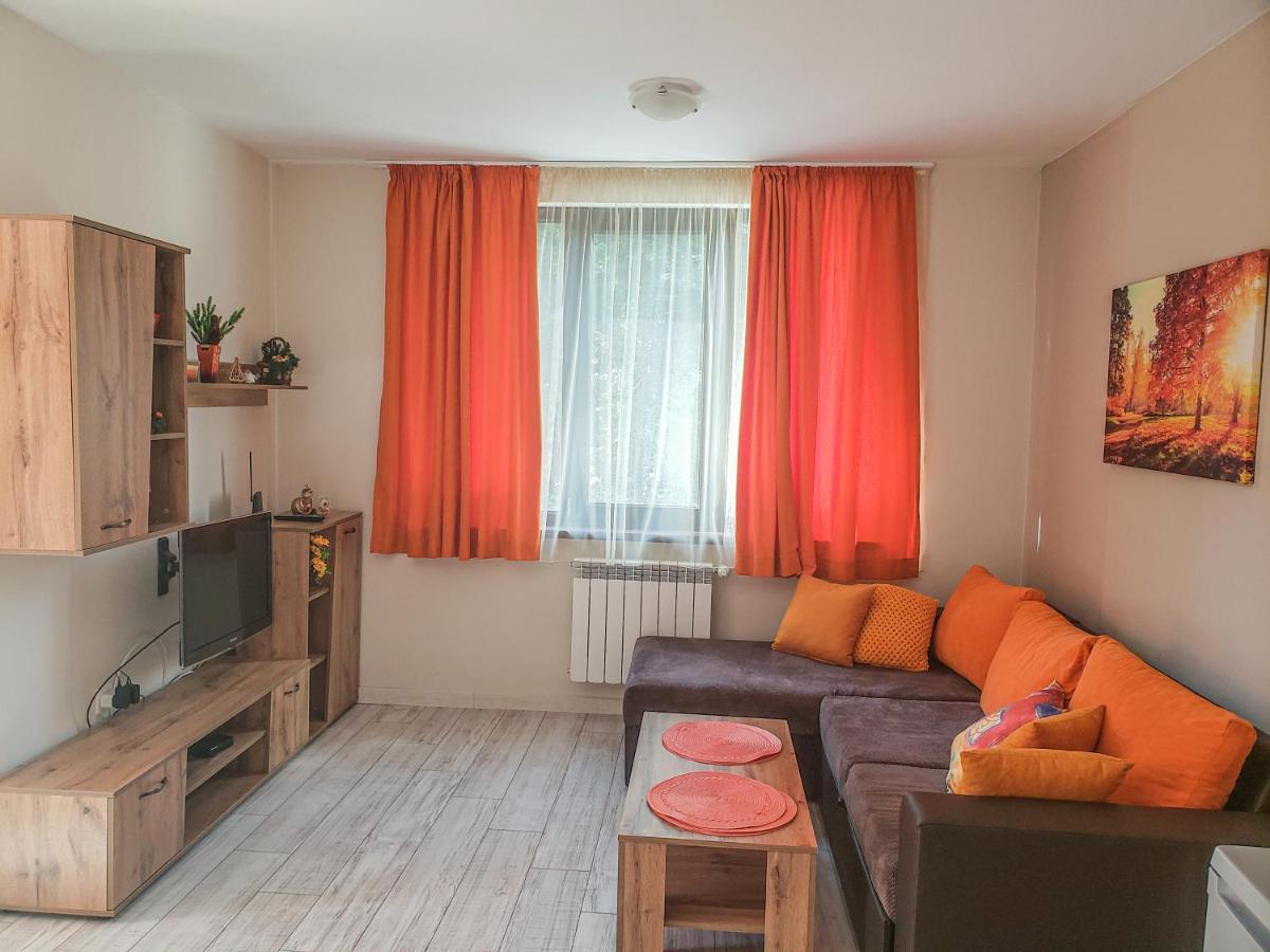 Lovely Borovets Apartment エクステリア 写真