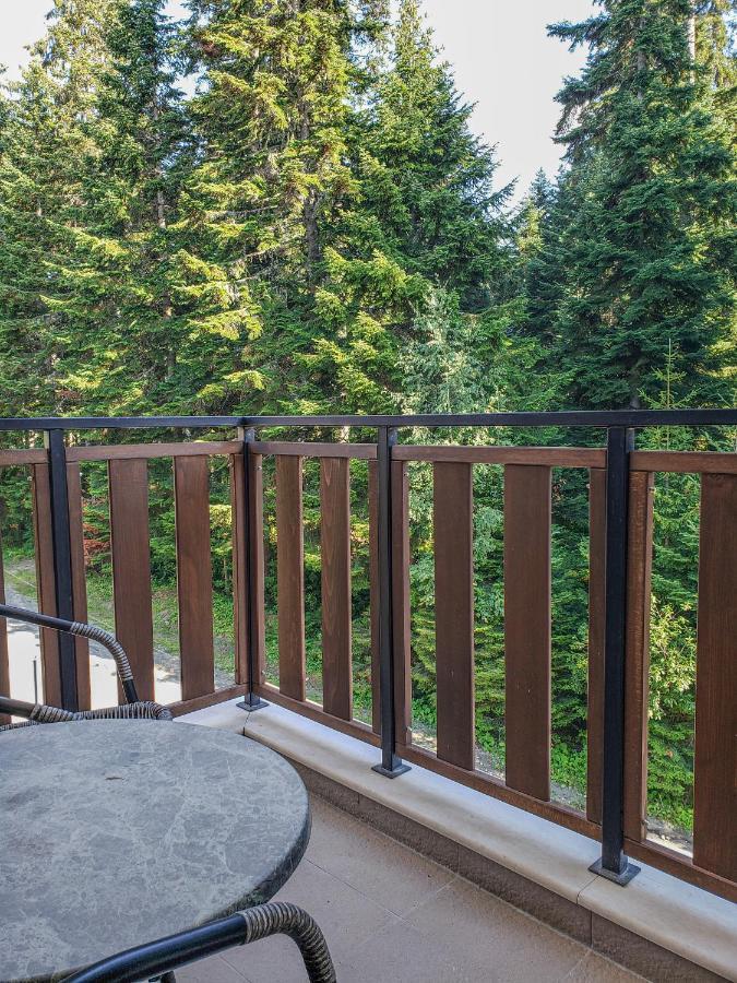 Lovely Borovets Apartment エクステリア 写真