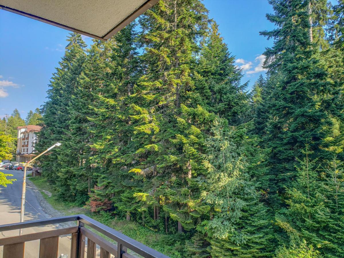 Lovely Borovets Apartment エクステリア 写真