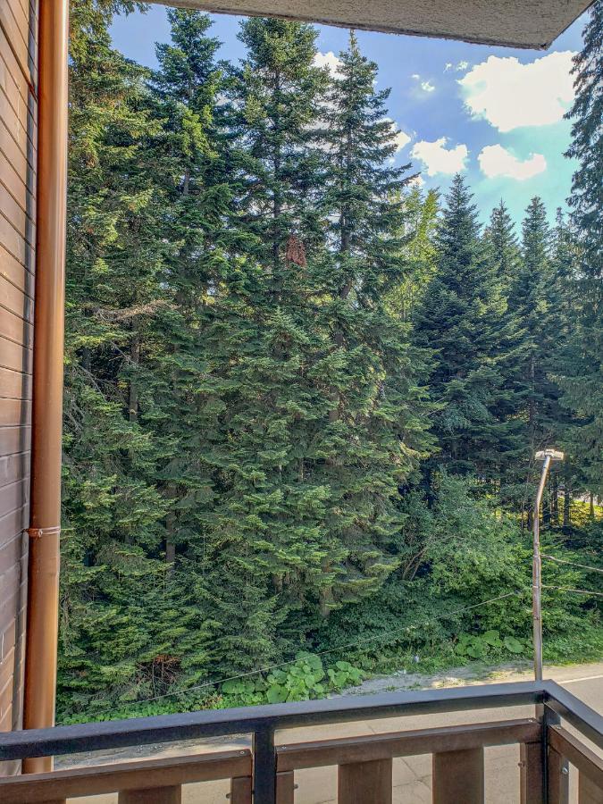 Lovely Borovets Apartment エクステリア 写真