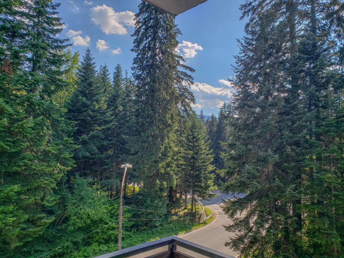 Lovely Borovets Apartment エクステリア 写真